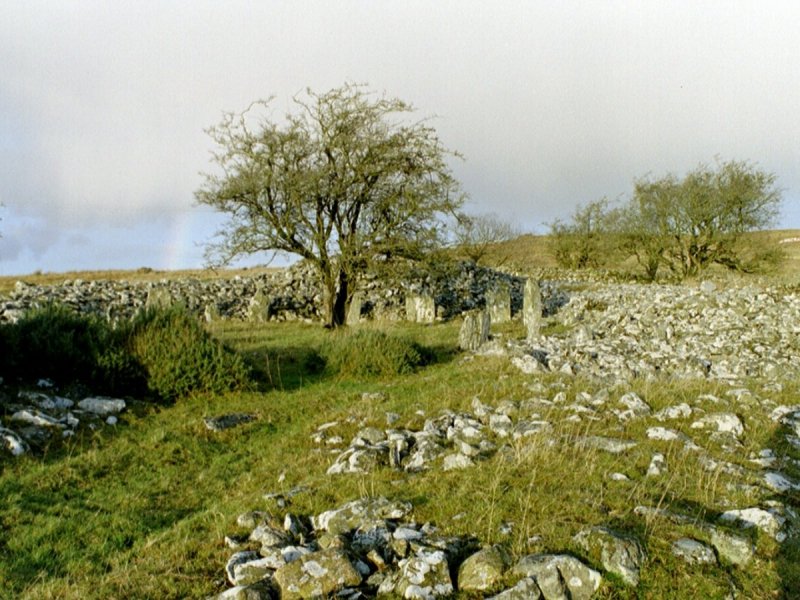 LiebMeg-Dun Ruadh
