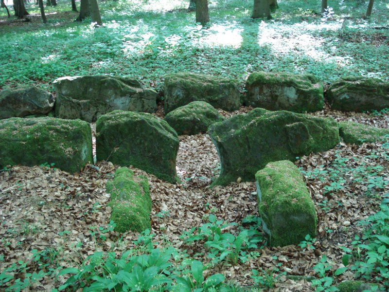 Seelenloch4 Großsteingrab "Im Weißen Holz"